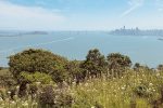 Thumbnail for the post titled: Angel Island Insight #7: Heather Knight